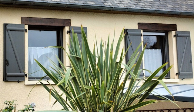 rennes renovation volets battants